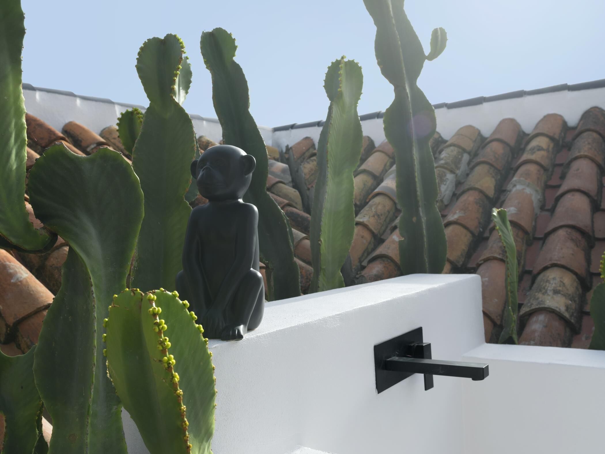 Un jardin de cactus orné d’une statue représentant une figure assise.