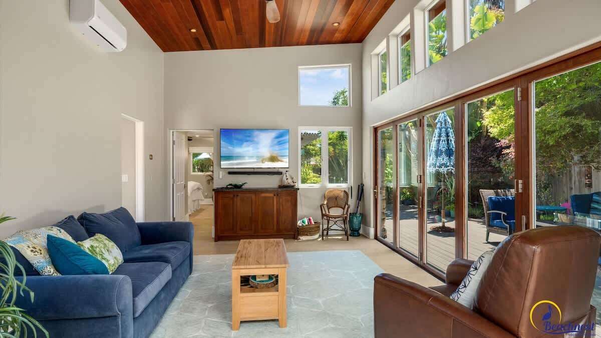 TV, fireplace, books