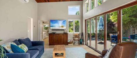 TV, fireplace, books