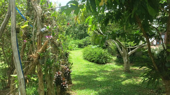 A lush garden with a variety of plants and trees, a clear path, and a wooden structure.