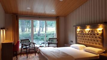 Deluxe Double Room | View from room