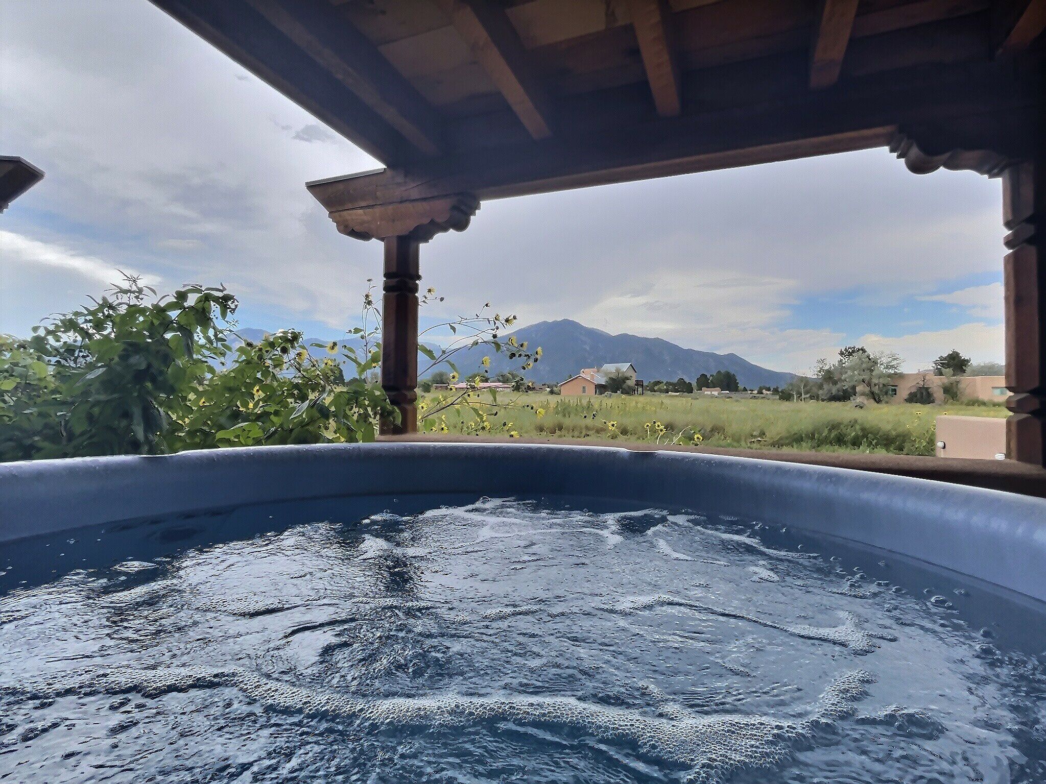 Truly Taos Garden in the Desert