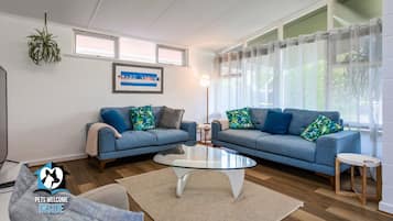 Télévision, Netflix, services de streaming