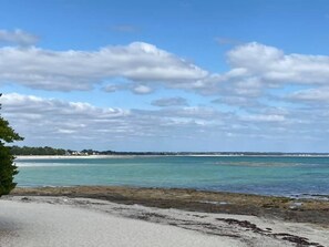 بالقرب من الشاطئ