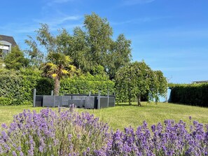 Property grounds - Elegant and cosy 3 star house, walking distance from the Teven beach (Île-Tudy)