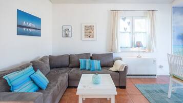 Una televisión, una chimenea, un reproductor de DVD