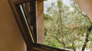 A window with a view of olive trees and a building in the background. - Le Fonti - Sasso: large and bright (Pontassieve)