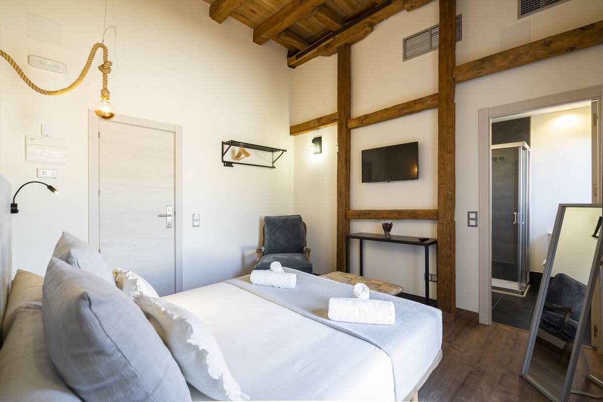 Habitación de hotel con cama, dos sillas, televisor, ducha y espejo.
