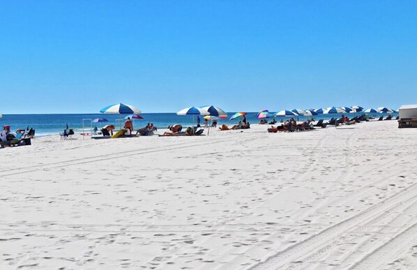 Une plage bordée de rangées de parasols et de chaises longues.