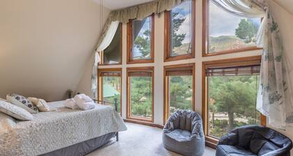 Colorado Cabin - Minutes from Downtown Ouray - Pet Friendly