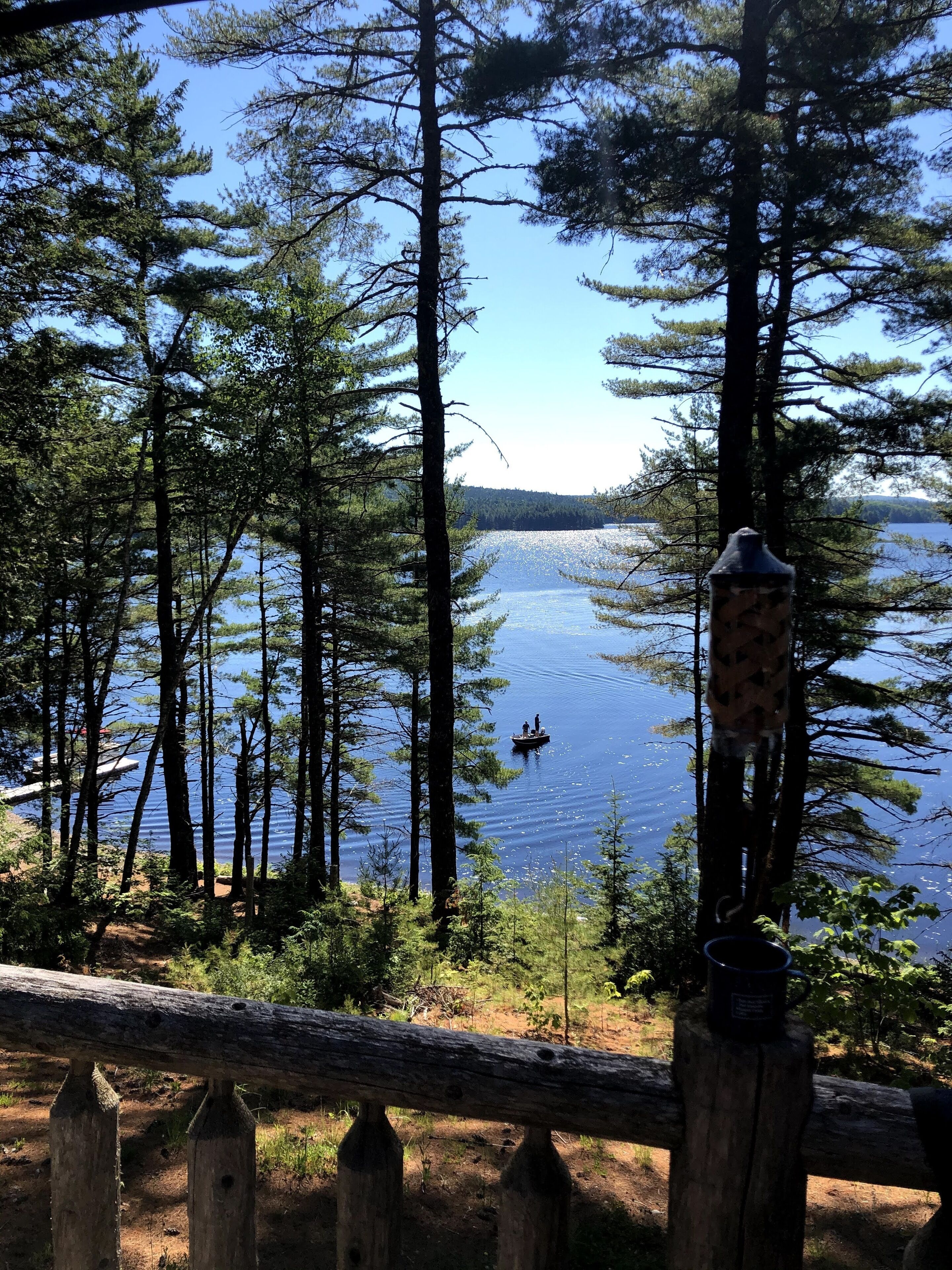 Beddington Lake Log Cabin!