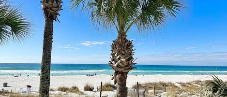 Plage à proximité, chaises longues, serviettes de plage