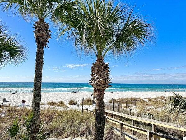 Playa en los alrededores, camastros y toallas de playa 