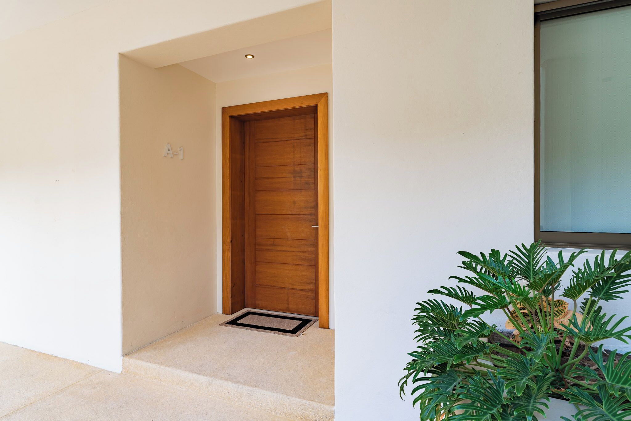 A modern entrance with a wooden door, a small entryway, and a potted plant.