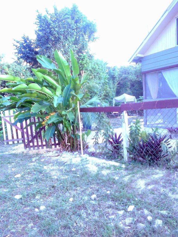 Cabin, 2 Bedrooms | Property grounds