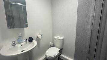 A small bathroom with a sink, toilet, and a mirror.