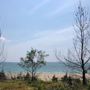 Beach - It is a 2LDK hotel near the sea where the rising s / Kunigami-gun Okinawa (Kunigami-gun)