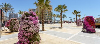 Welcome to Hostal Costabella!