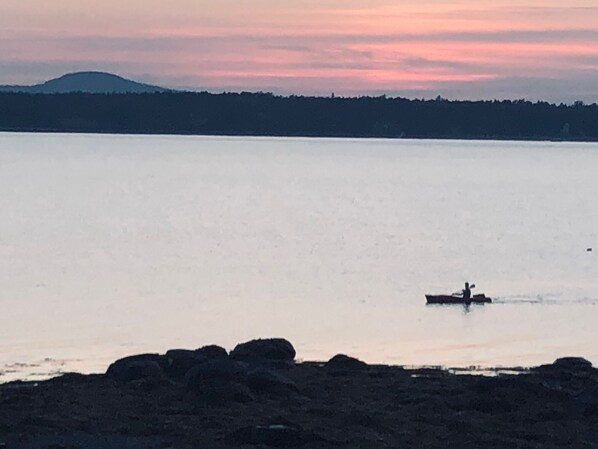 A calm lake with a boat in the distance, surrounded by a forested shoreline.