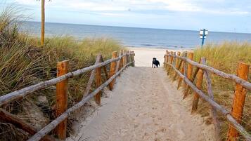 Playa en los alrededores