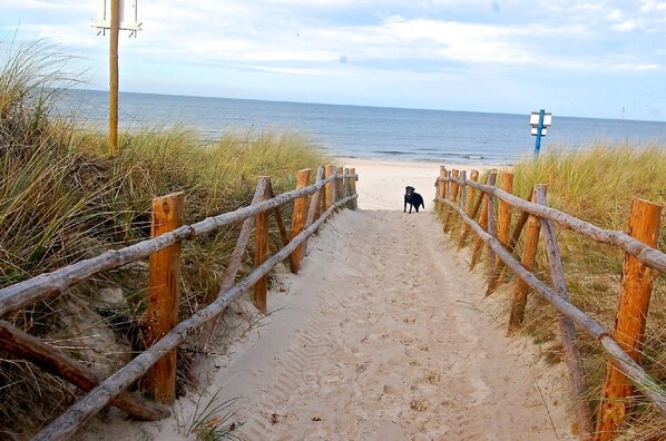 Playa en los alrededores