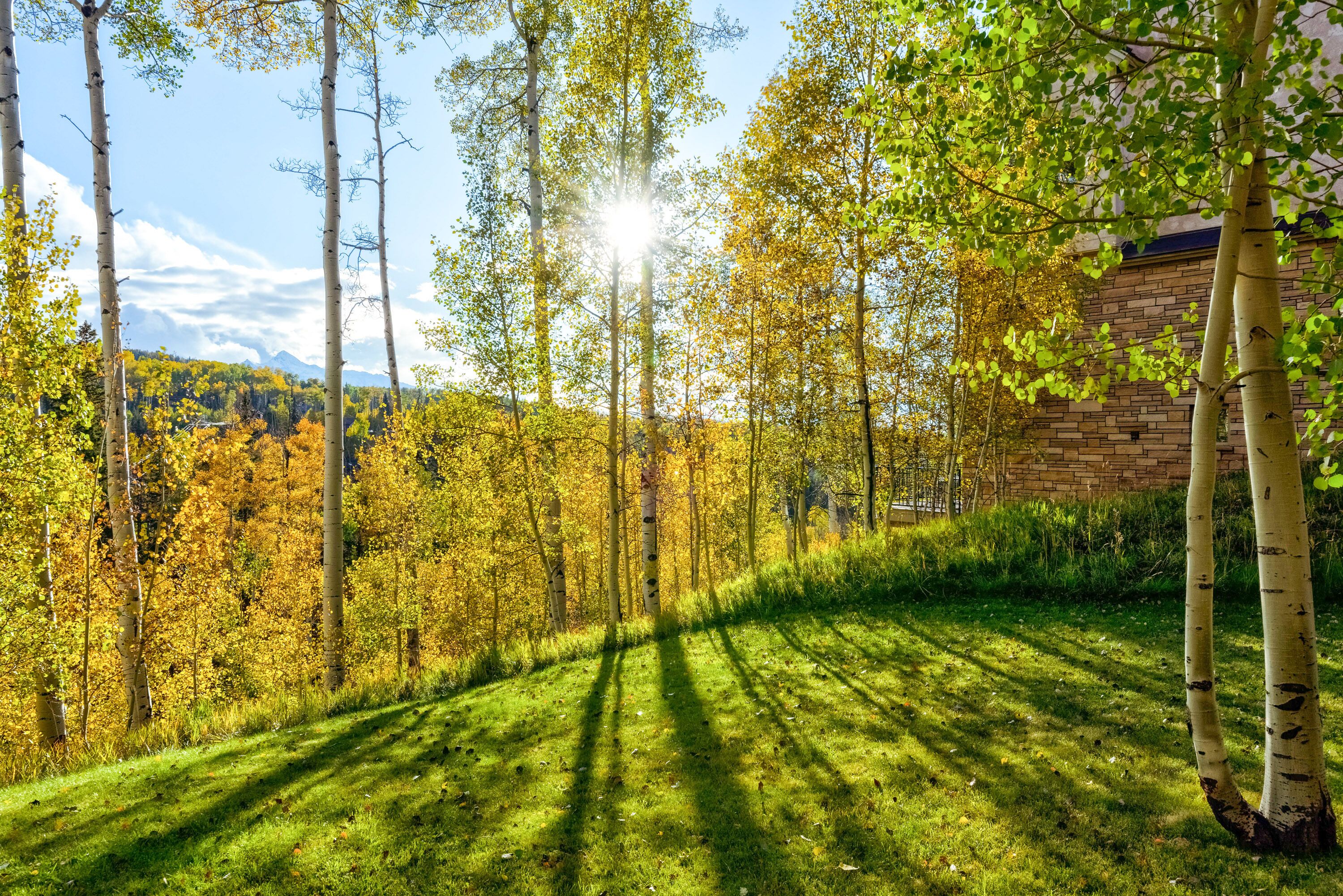 Overnattingsstedets uteområder