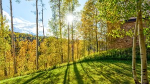 A grassy area with trees and a brick building. - Spacious 3 BDR Mountain Village Townhome Just Steps from Skiing (Mountain Village)