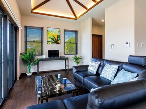 TV - Villa1 Private rental villa with chic interior / Miyakojima Okinawa (Miyakojima)