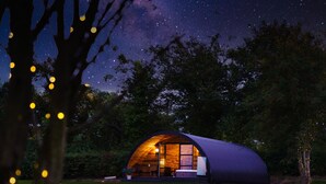 A dome-shaped cabin with a large window, surrounded by trees and a starry night sky.