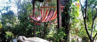 Perfect Jungle Getaway. Close to Adventure, Miles Away From Ordinary. 