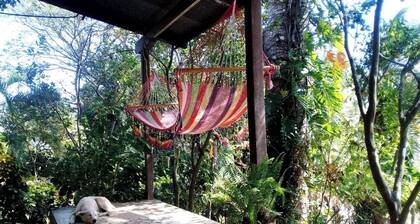 Perfect Jungle Getaway. Close to Adventure, Miles Away From Ordinary.