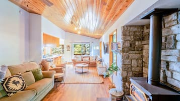 TV connectée, cheminée, jeux vidéo, lecteur de DVD