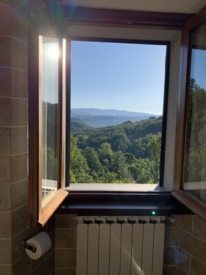 Apartment, Mehrere Betten | Badezimmer