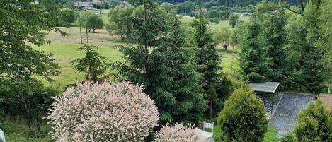 Área da propriedade