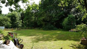 A grassy outdoor area with a wooden fence, a wheelbarrow, and some plants.
