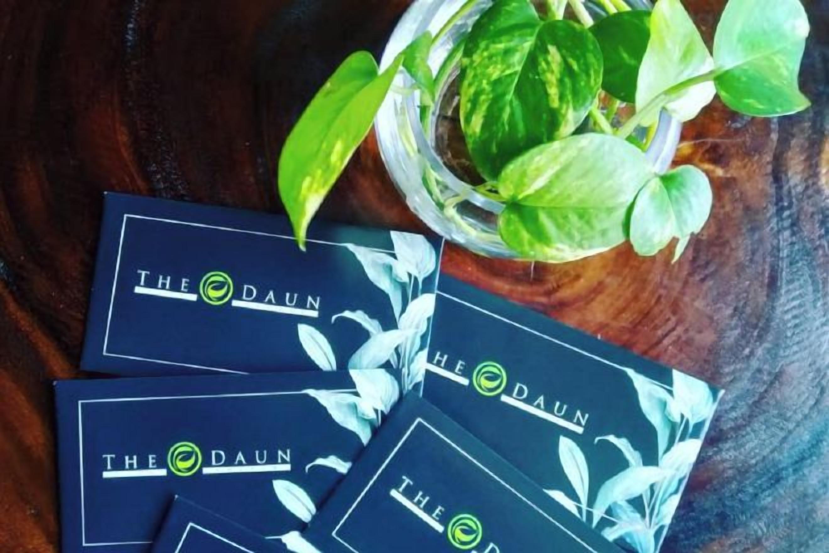 A set of business cards with 'The DAUN' printed on them, placed on a wooden surface next to a potted plant.