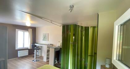 Cosy studio with small garden