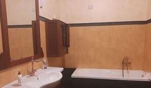 Combined shower/bathtub, hair dryer, bidet, towels