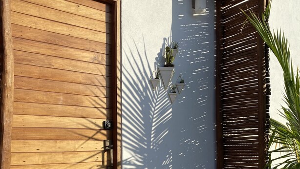 Una puerta de madera con un picaporte metálico, una planta en maceta y una lámpara fijada a la pared.