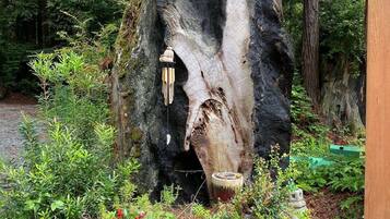 Àrea exterior de l'allotjament