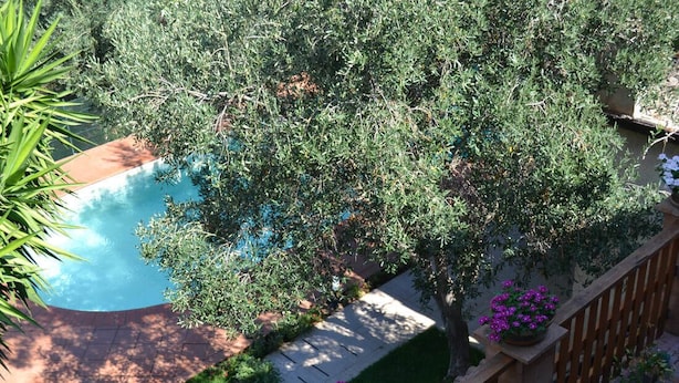 A rooftop pool surrounded by lush greenery and a wooden fence. - villa chalet con piscina (Palermo)
