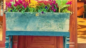 L’entrée de l’hôtel Blue Moon, avec sa façade en bois, un jardinier fleuri devant et une enseigne au-dessus de la porte.