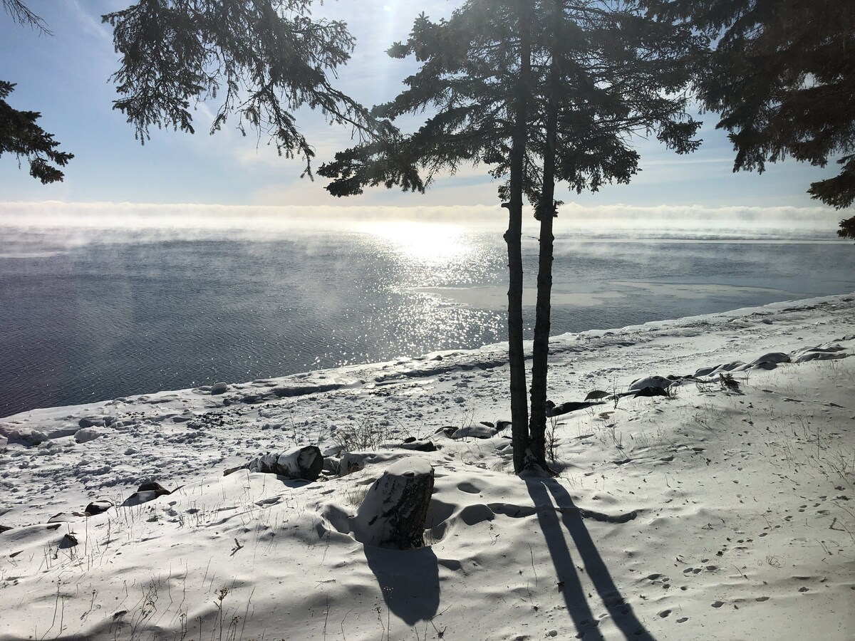 Imagen de perfil del propietario o de la propietaria