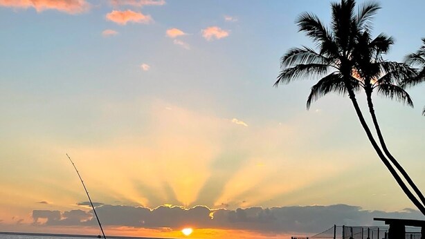 A sunset over the ocean with a fishing rod, palm trees, and a lifeguard tower.
