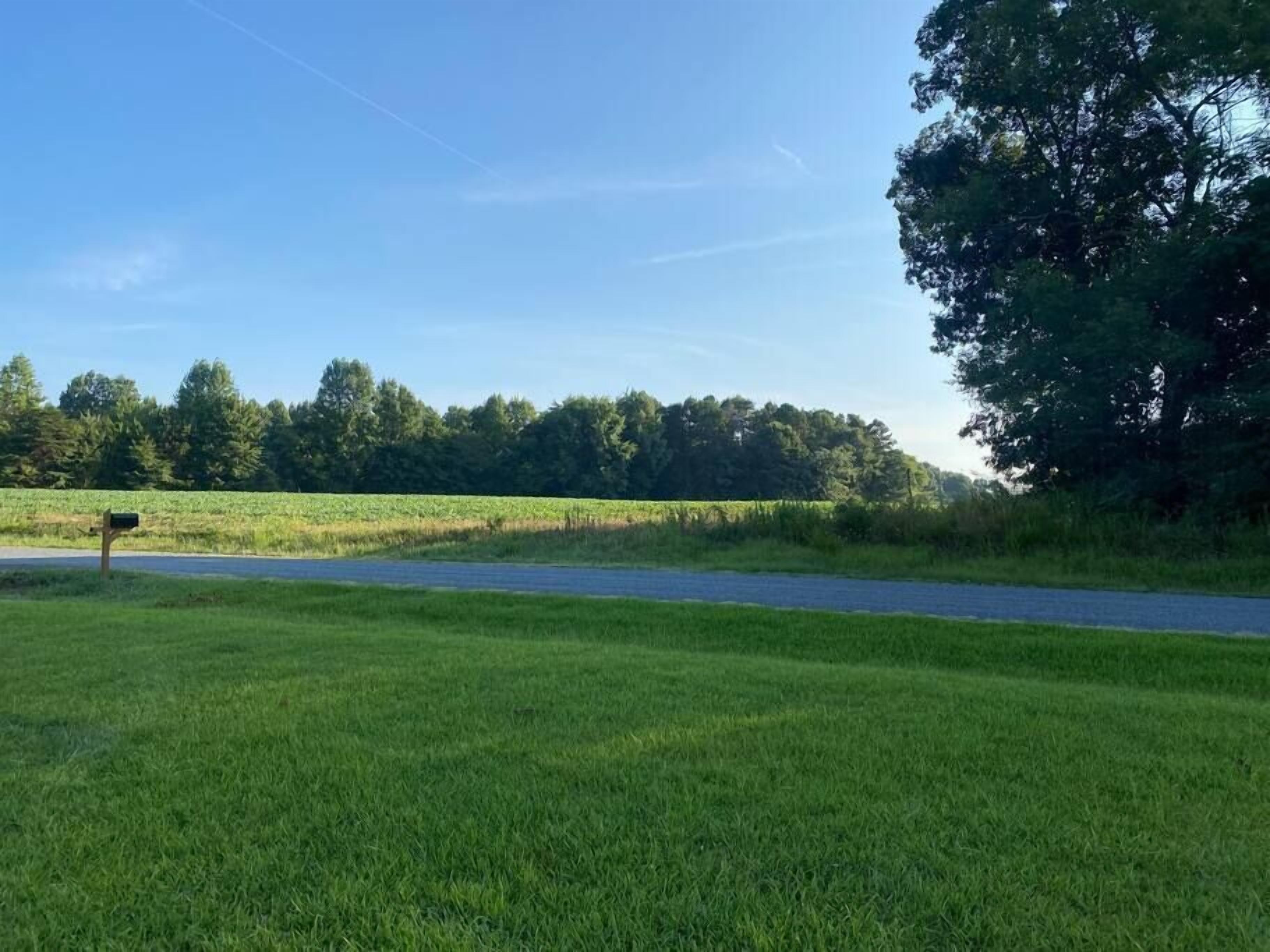 A rural landscape with a road, grassy fields, and a dense tree line.