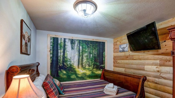 Un dormitorio con cama, lámpara, un cuadro, televisión y vistas al bosque.