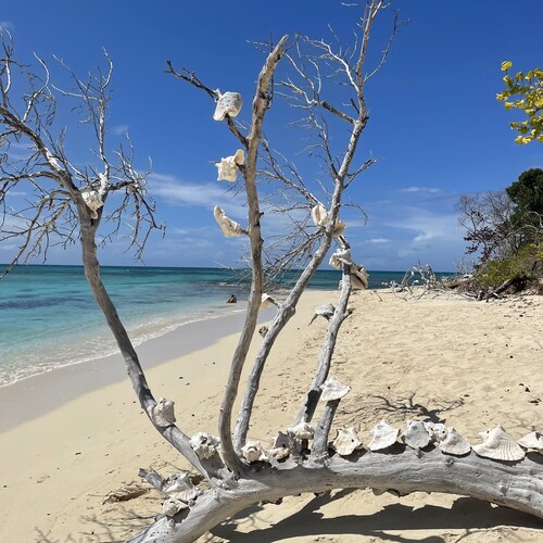 Tranquil Songs of Paradise~ A home away from home to soothe and refresh souls!😎
