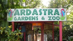 A sign for Ardaustra Gardens & Zoo with a pathway leading through a stone archway. - 
5 min drive to Junkanoo Beach, Arawak Cay, Ardastra Garden & Zoo & Attractions (Nassau)