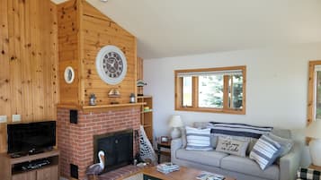 Smart TV, chimenea y reproductor de DVD