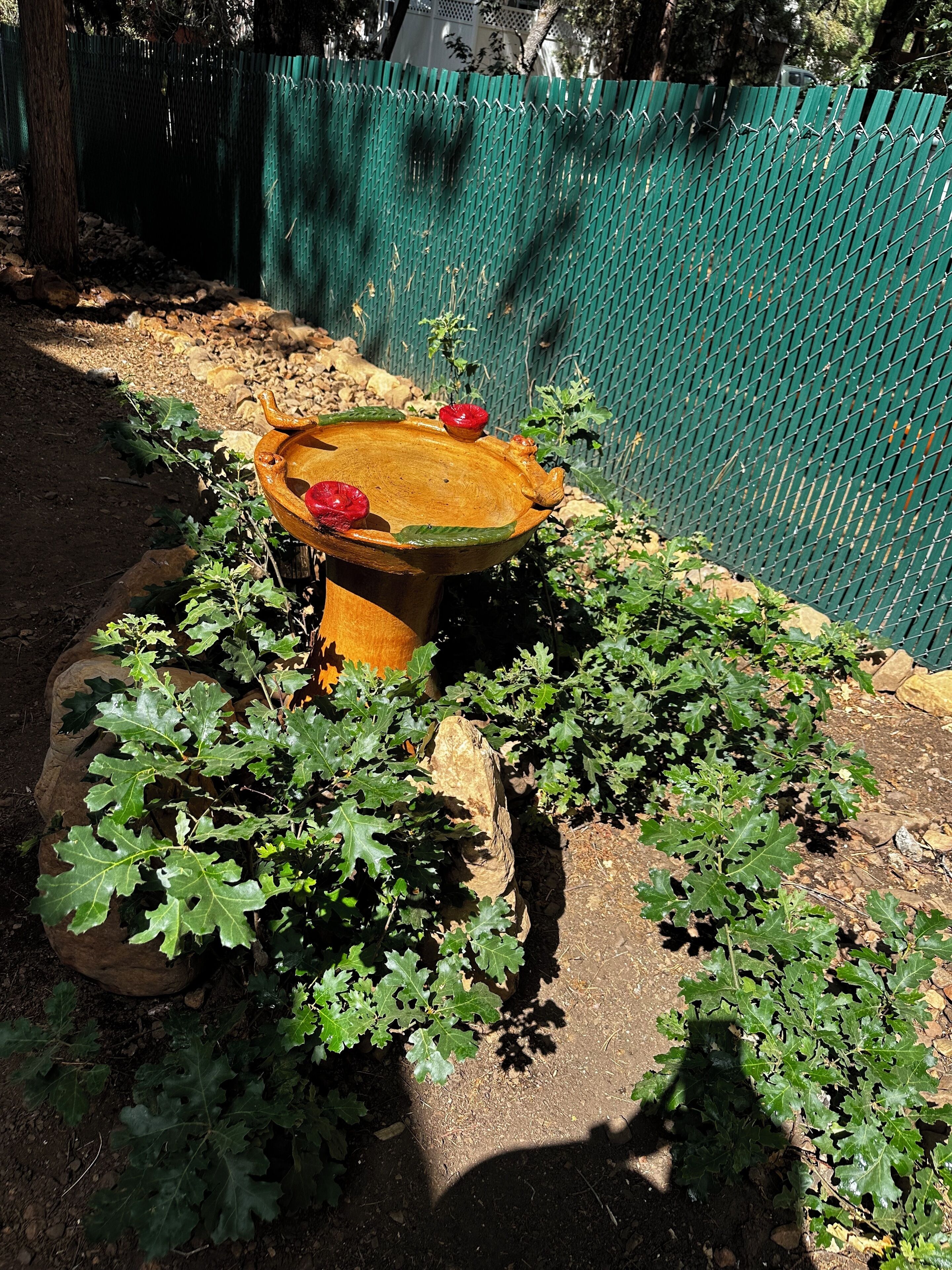 المنطقة المحيطة بالمنشأة